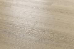 CW-203-Vinyl flooring Arbiton WOODRIC EIR - BRANDON OAK-5905167847695_D_01